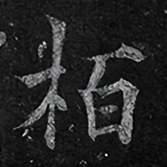 「每日一字」 柏（2839）2022.06.10