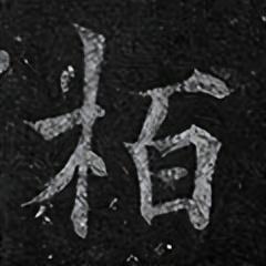 「每日一字」 柏（2839）2022.06.10