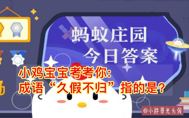 小鸡宝宝考考你：成语“久假不归”指的是什么？蚂蚁庄园最新答案