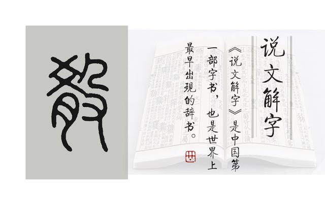 《说文解字》第575课：细说“毅”，士不可不弘毅的“毅”字何义