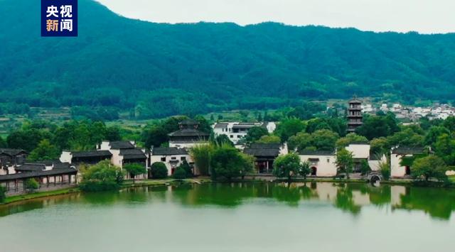 茹字的五行属性是什么和什么茹字的五行属性是什么呢