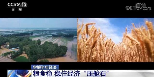 字解半年经济｜粮食稳 稳住经济“压舱石”