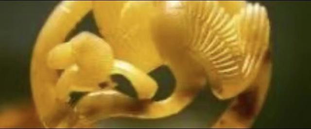 古代玉器鉴定方法知多少？