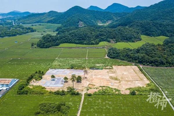 南宋帝陵为何选在绍兴？葬了7个皇帝为什么叫“宋六陵”