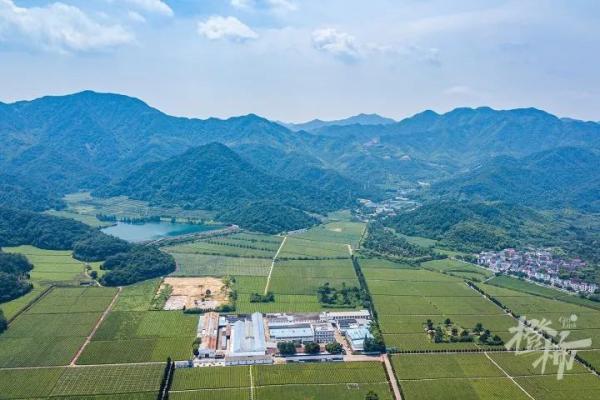 南宋帝陵为何选在绍兴？葬了7个皇帝为什么叫“宋六陵”