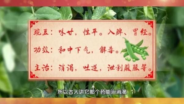 “6月吃豆，赛过肉”！养生多吃豆，健康又长寿