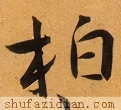 「每日一字」 柏（2839）2022.06.10