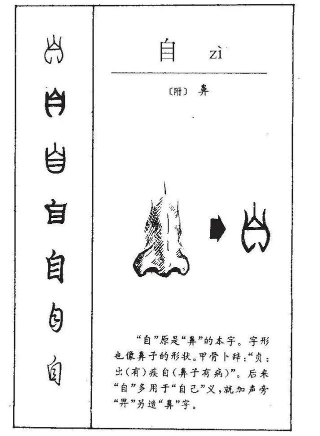 汉字学习第4讲，自！——个人改命系列