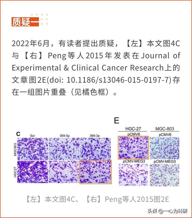 中国医学科学院基础医学研究所某课题组的论文与多篇文章图片重复