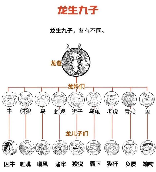 龙生九子，各不相同，难道是龙爸基因不够？