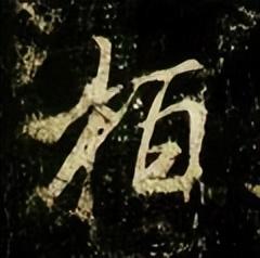 「每日一字」 柏（2839）2022.06.10