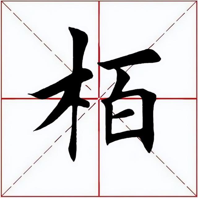 「每日一字」 柏（2839）2022.06.10