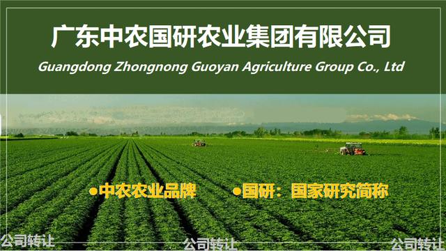公司名称核名形式分为三种：行政地域、无地域、无行业