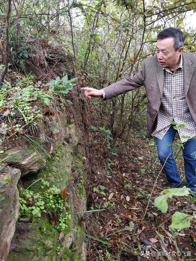 二程书院开学脉，甘露、望鲁并芬芳－裴高才《陈时》选载