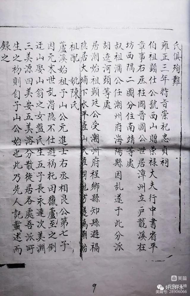 漳州百家姓（12）——潘（盘）姓 __ 南州木棉