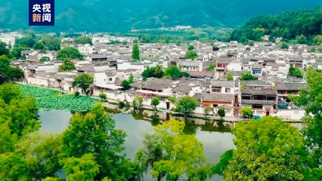 茹字的五行属性是什么和什么茹字的五行属性是什么呢