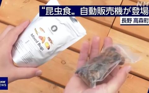 居然卖断货！日本推出昆虫食品贩卖机：买的人是为了补充蛋白质？