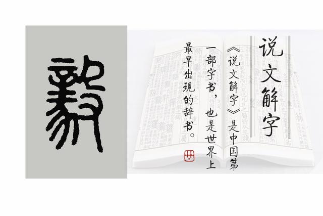 《说文解字》第575课：细说“毅”，士不可不弘毅的“毅”字何义