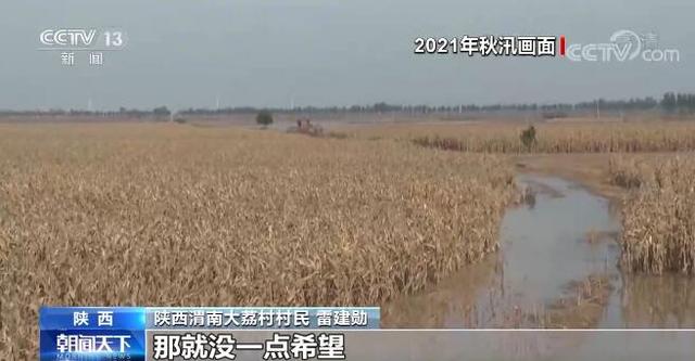字解半年经济｜粮食稳 稳住经济“压舱石”