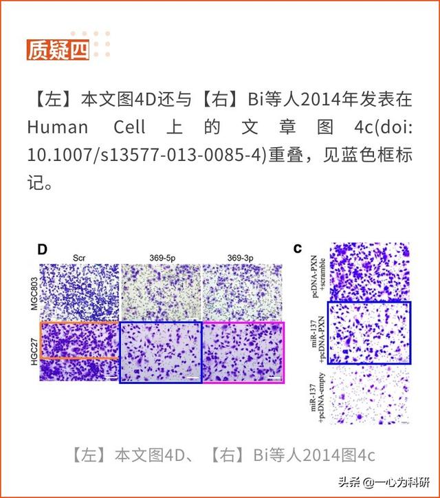 中国医学科学院基础医学研究所某课题组的论文与多篇文章图片重复