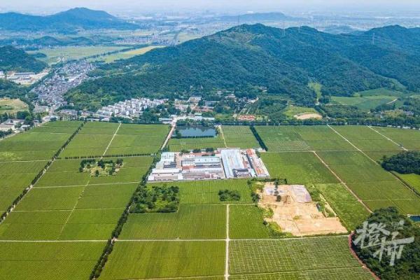 南宋帝陵为何选在绍兴？葬了7个皇帝为什么叫“宋六陵”
