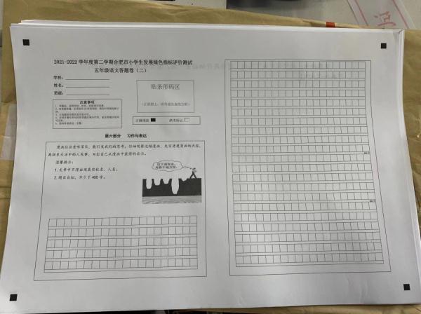 合肥小学五年级作文题，火了