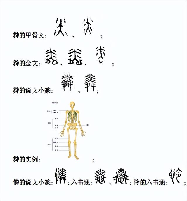 骐字五行属什么的意思？骐字五行属什么和意义！