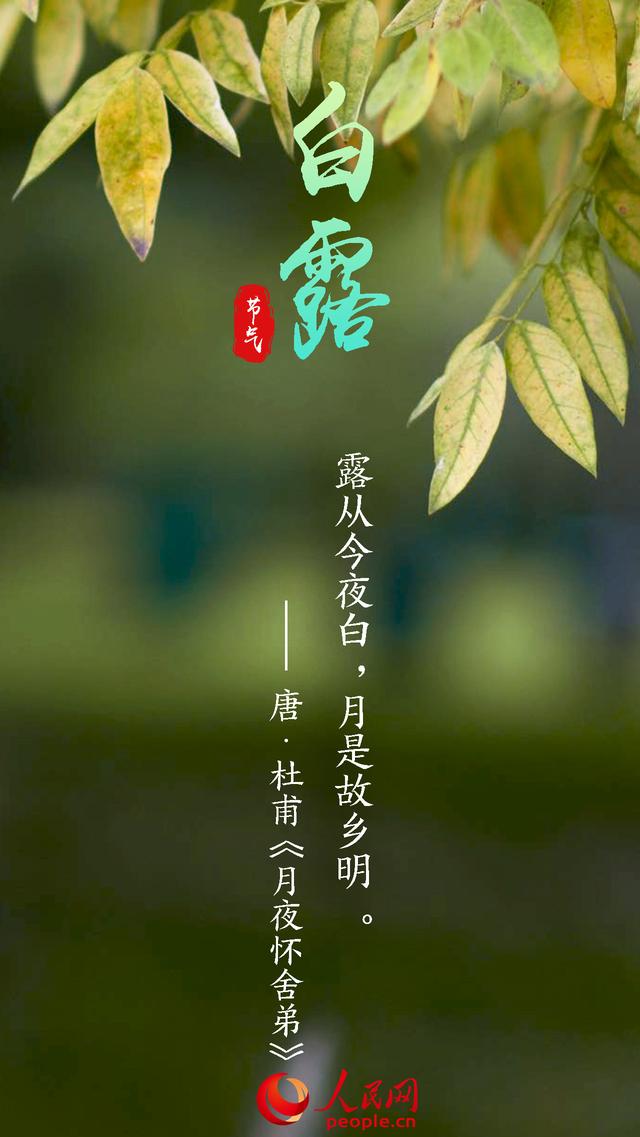 温字五行属什么意思？温字五行属什么的意思！