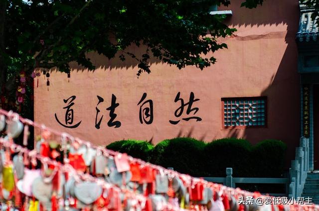 字字五行属性什么？五行属木的字！