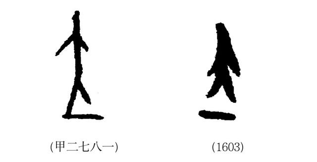 地字五行属什么和意义？地字的意思五行属什么！