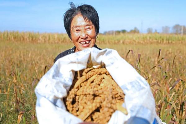 洲字五行属什么生肖？洲字五行属什么繁体字几画！