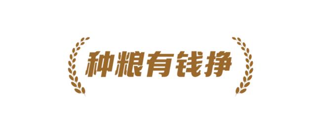 十字五行属什么属性？十字的五行属性是什么！