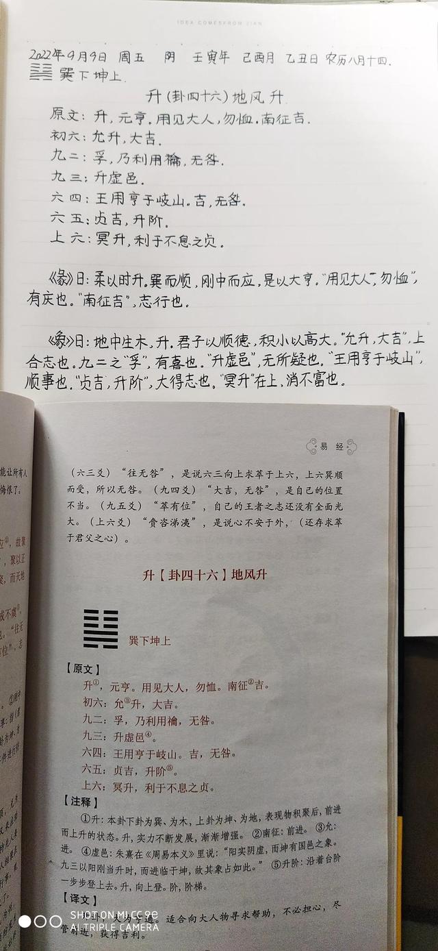 升字的意思和含义是什么？带有上升意思的字！