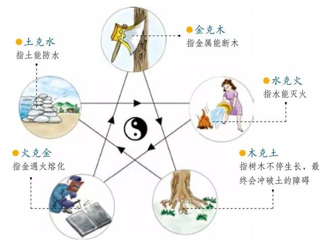 成五行属性是什么木的字？成五行属性是什么水的字！