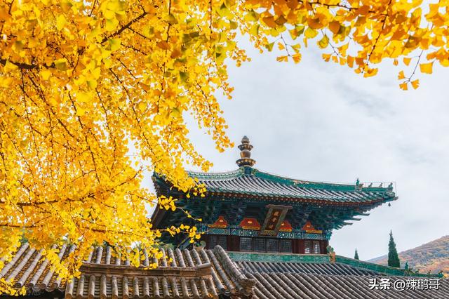 将开头的成语？将开头的成语接龙！