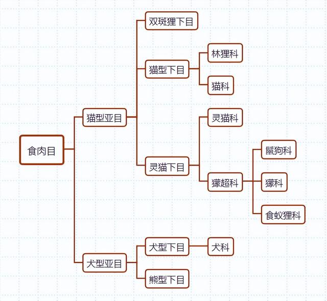 皙字属于五行属什么？皙字的五行属性是什么！