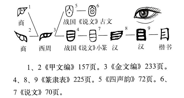 皙字属于五行属什么？皙字的五行属性是什么！