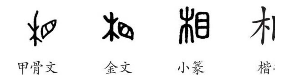 相字的五行属性是什么？相字的五行！