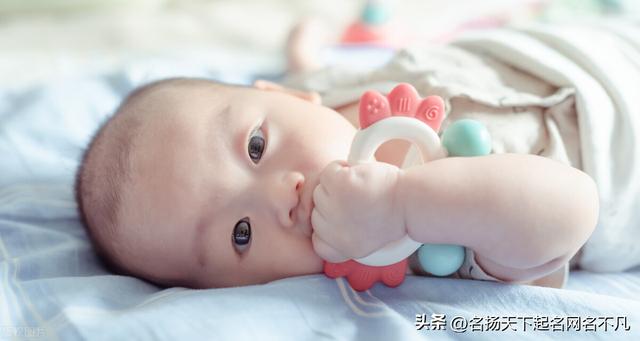 取名宝典？取名宝典免费！