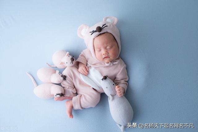 取名宝典？取名宝典免费！