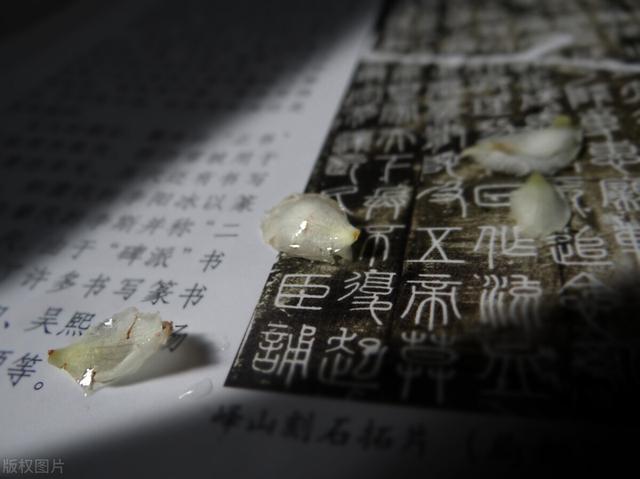 女生qq名字_好听_可爱_霸气？女生简短好听昵称两个字！