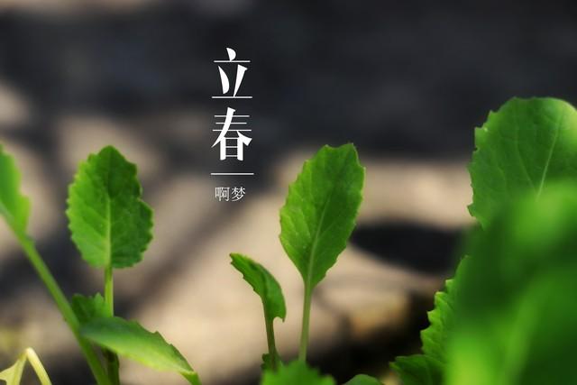 癸五行属什么？癸在五行属性是什么！
