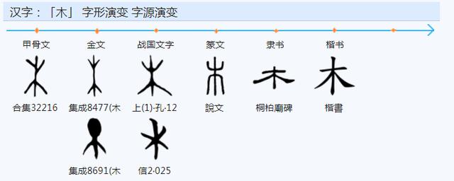 权字五行属什么？权字五行属什么和意义！