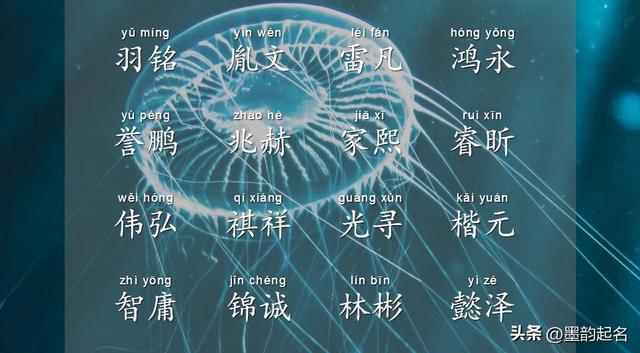 杭字取名的寓意男孩，杭字取名的寓意男孩子