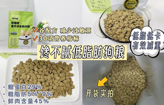 狗狗名字大全_洋气招财男，狗狗名字大全_洋气招财2O22年