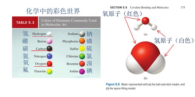 en的拼读？en的拼读音节有哪些字！