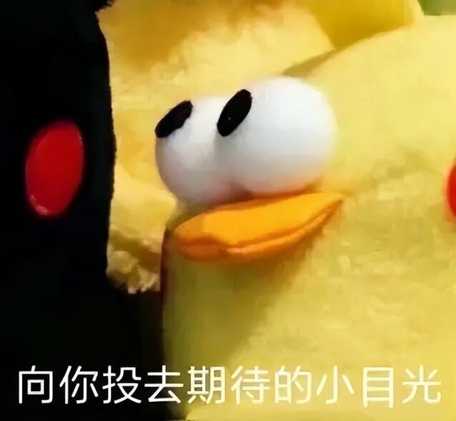 电脑取名字按生辰八字哪里有一，周易起名网唯一官网免费