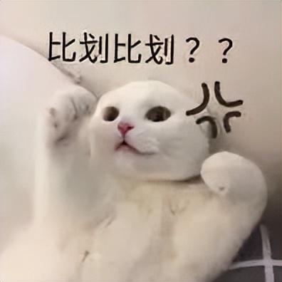 电脑取名字按生辰八字哪里有一，周易起名网唯一官网免费
