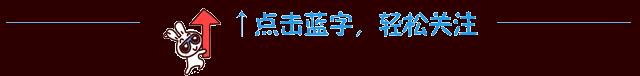 鹃字四字词语，鹃_成语