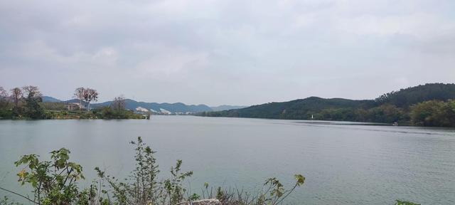 春五行属什么以及含义，春五行属啥